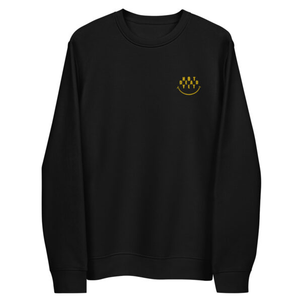 NDY SKTBRDS eco crewneck sweatshirt